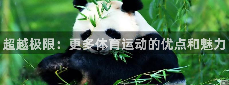五星体育数字主播有哪些人：超越极限：更多体育运动的优点和魅力