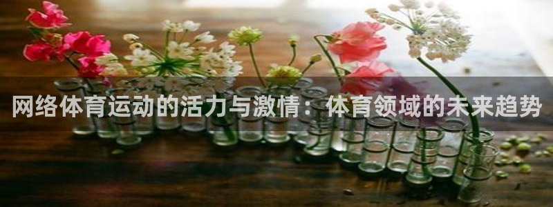 五星体育f1卡塔尔站正赛回放：网络体育运动的活力与激情：体育领域的未来趋势