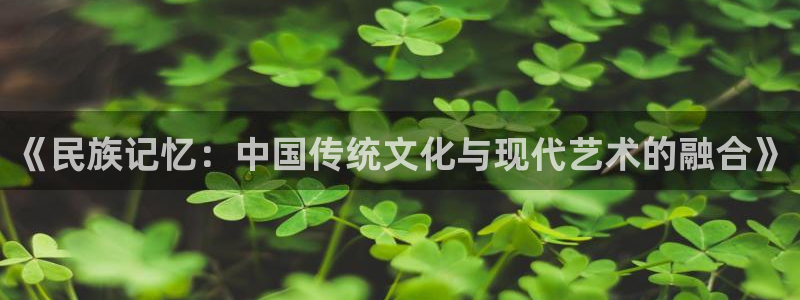 五星体育女主播：《民族记忆：中国传统文化与现代艺术的融合》