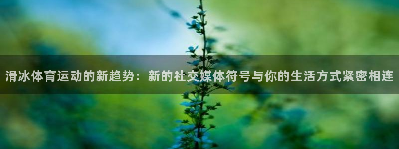 五星体育广播主持人名单