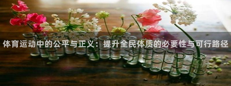 五星体育恩山：体育运动中的公平与正义：提升全民体质的必要性与可行路径