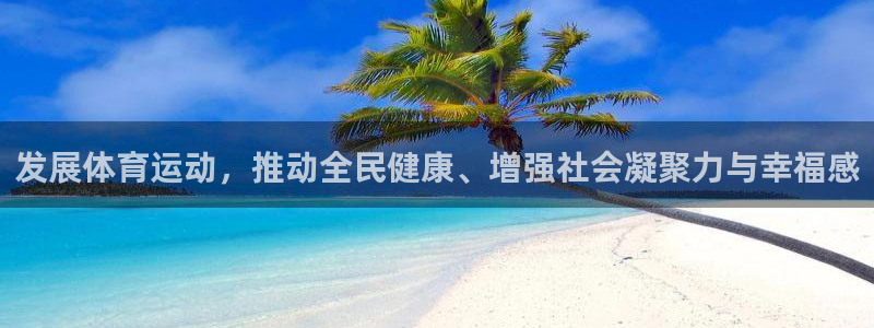 今天五星体育节目单